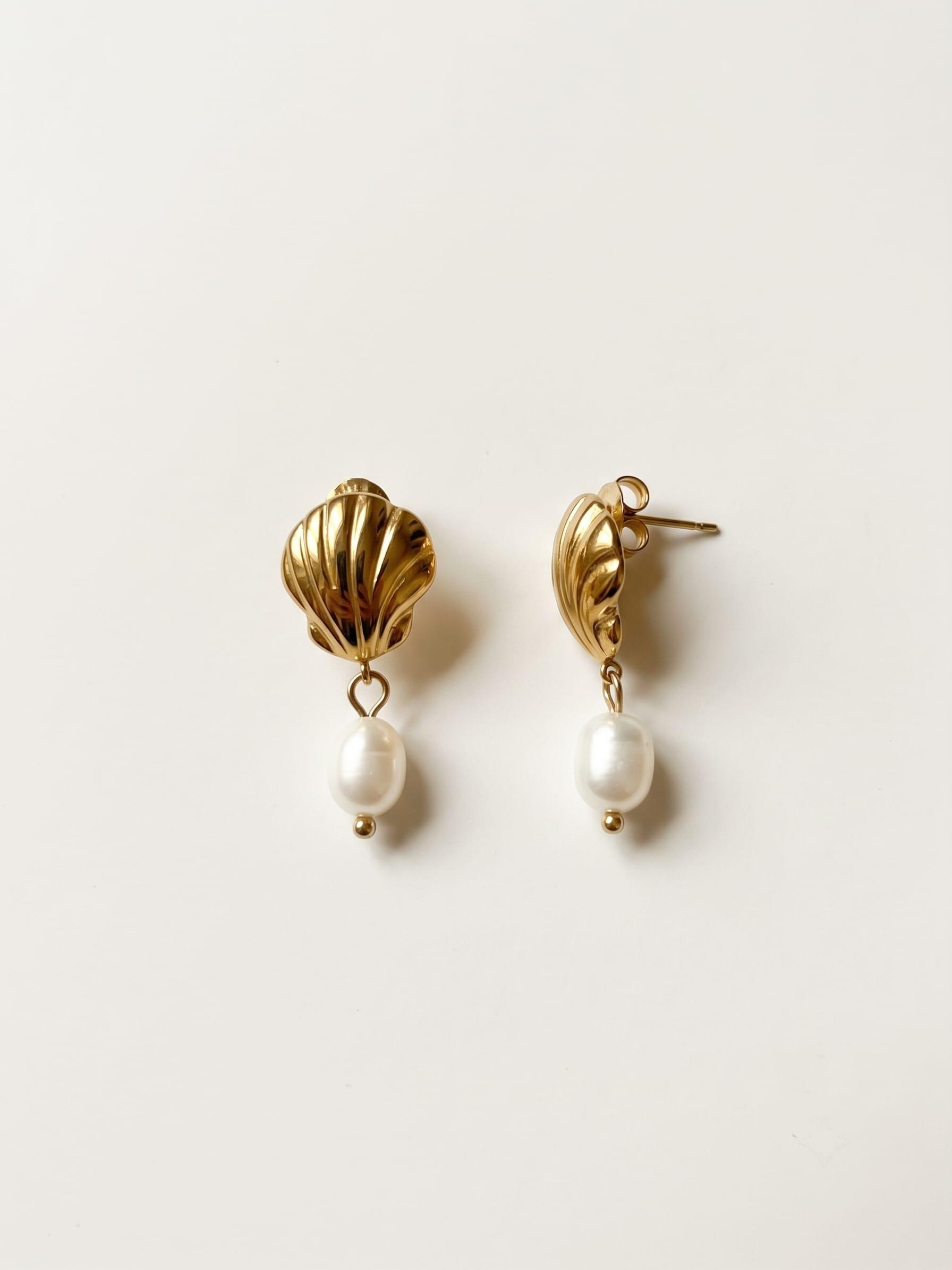 Seashell drop earrings
